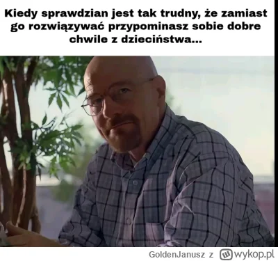 GoldenJanusz - #przegryw #studbaza