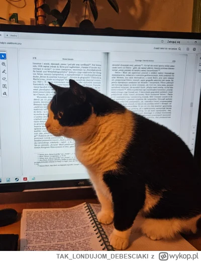 TAKLONDUJOMDEBESCIAKI - Chuop chciał się pouczyć na studia i kot mu nie daje

#zlodzi...