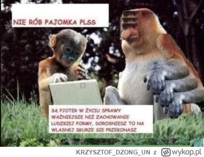 KRZYSZTOFDZONGUN - #konkursnanajbardziejgownianymemznosaczem