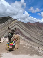 panienka_seledynowa - #podroze #peru #podrozujzwykopem Pozdrowienia z Peru! 5000 mnpm...