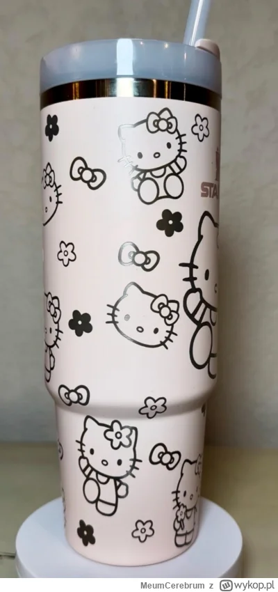 MeumCerebrum - Wiecie czy ktoś mógłby ogarnąć mi personalizację kubka Stanley w motyw...