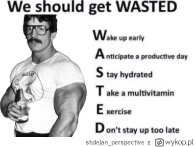 stulejan_perspective