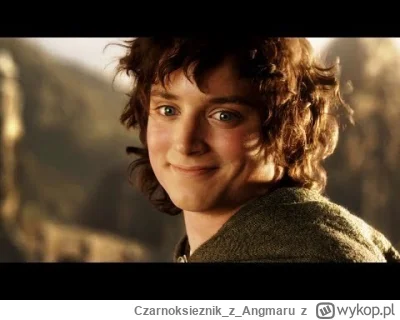 CzarnoksieznikzAngmaru - @Majku_: (╯︵╰,)