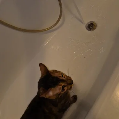 Lujdziarski - @KingOfTheWiadro  @Catmmando Jak on psikusy robi, to też mu zrobiłem