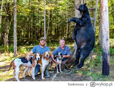 funkmess - @taatatko: Dokładnie, czasem aż przykro się robi na to patrzeć. Ale to tyl...