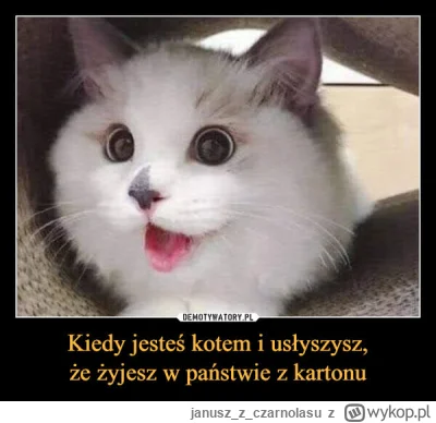 januszzczarnolasu - #polska #zwierzaczki #zawierzeta #koty #heheszki #dowcipsurowowzb...