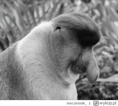 meczennik_ - #przegryw na stare to by była 17:00,  a tak to już za chwile niedziela w...