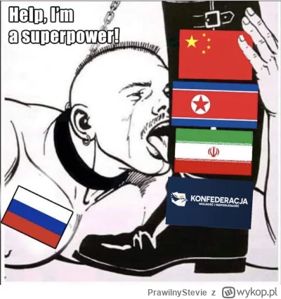 PrawilnyStevie - W końcu połączyłem kropki… Stasznie żenujące, że taka wielka potęga ...