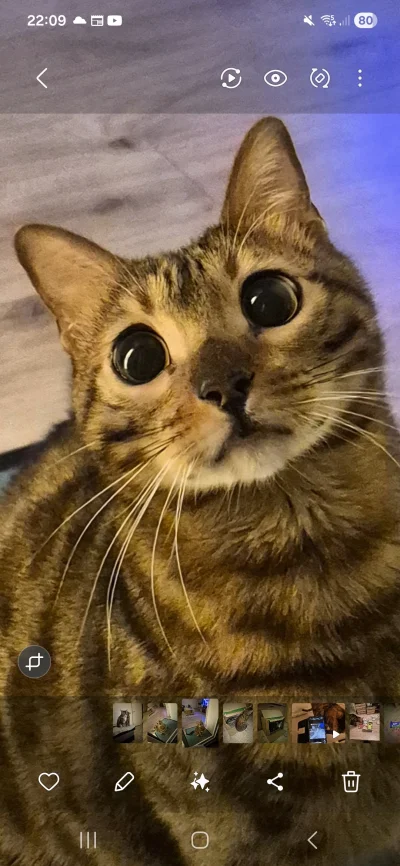 Lujdziarski - @adisoniusz jeszcze jak, może znalazł resztki cukierków różowych z czas...