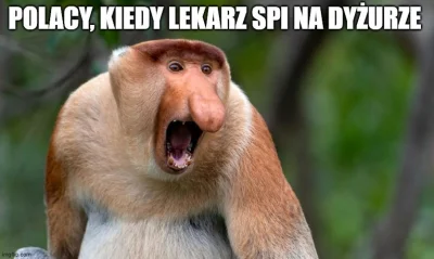 pieknylowca - >polacy 10lat temu: jakie umowy o pracę dla lekarzy? platne urlopy, L4 ...