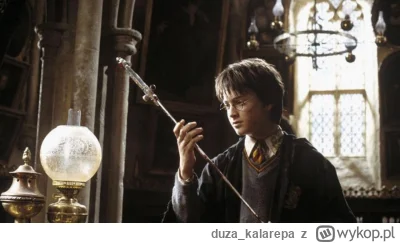 duza_kalarepa - #harrypotter czyli miecz gryffindora wchłonął jad bazyliszka i ma ter...
