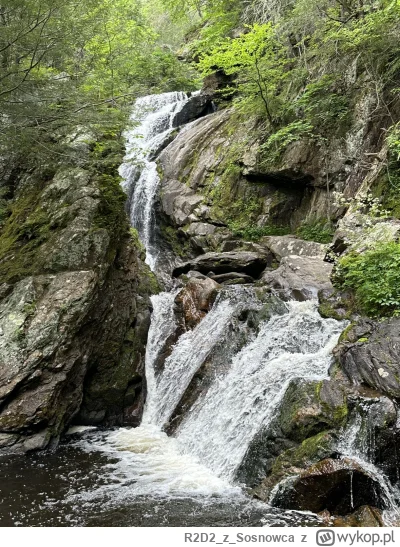 R2D2zSosnowca - @R2D2zSosnowca: tuż obok znajduje się Campbell Falls którego park roz...