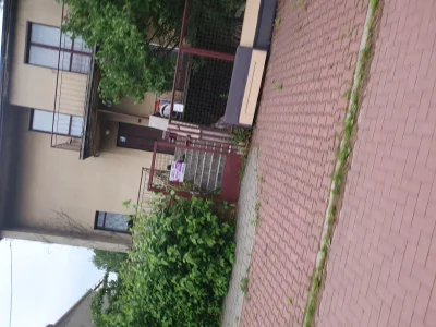 Silklash - Aktualizacja spod meliny - meliniarze psa zostawili na podwórku. Poza tym ...