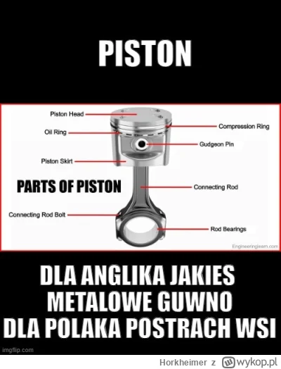 Horkheimer - #heheszki #humorobrazkowy