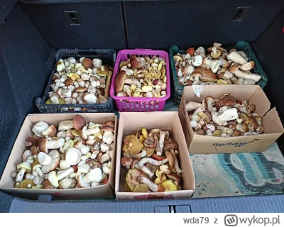 wda79 - I co ja mam z tym teraz zrobić? Chyba już lepiej było pić.
#grzyby #grzybobra...