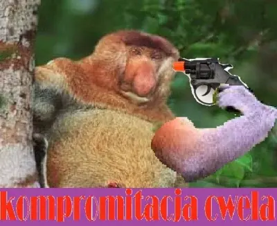 LewCyzud - #primemma