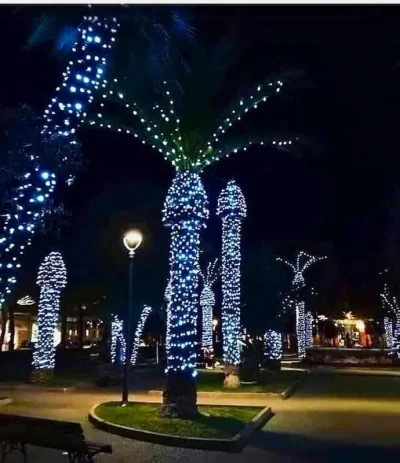 Gieekaa - Oświetlone palmy wyglądają imponująco.
#f1