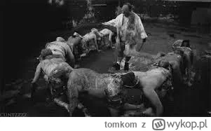 tomkom - Z tym Oracle i AMD to kluczowe pytanie skąd openAI weźmie na to pieniążki, p...