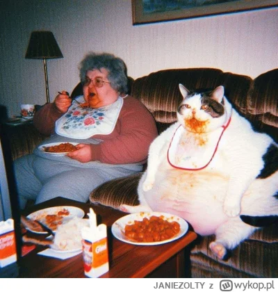 JANIEZOLTY - #aikitku