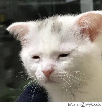 Infex - #wladcapierscieni 
No i c--j zostałes wybrany