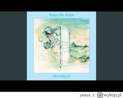 pekas - #muzyka #rock #rockprogresywny #stevehackett #progressiverock
Steve Hackett...