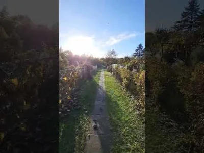 Chlopakizdzialeczek - Chodź zabiorę Cię na działeczke! ( ͡° ͜ʖ ͡°)

Rodzinne ogródki ...