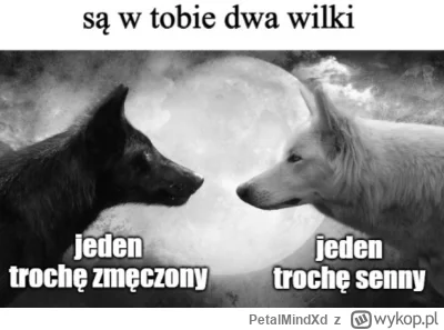 PetalMindXd - @LatajacaPapryka512: