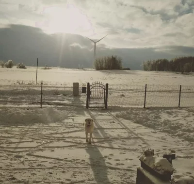 jmuhha - Wyobraźcie sobie tylko sobie syk śniegu, -10 stopni na karku i taki widok za...