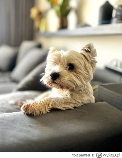 tojapaweu - 100 plusów i leje mu drinka, żeby nie siedział tak przy barze bez niczego...