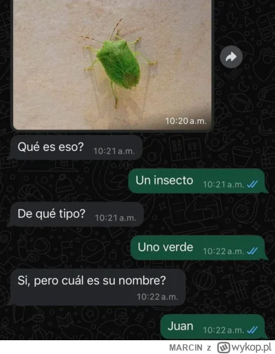 MARClN - #heheszki #humorobrazkowy #chcialbymumicangielski