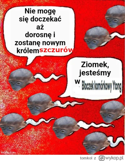 tomkol - #konkursnanajbardziejgownianymemznosaczem