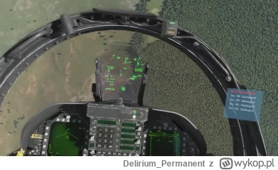 Delirium_Permanent - Zwinny Hornet!
#dcs