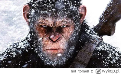 hot_tomek - #gme

Moja mina kiedy patrzę na swoje odbicie w lutrze będąc dumnym z sie...