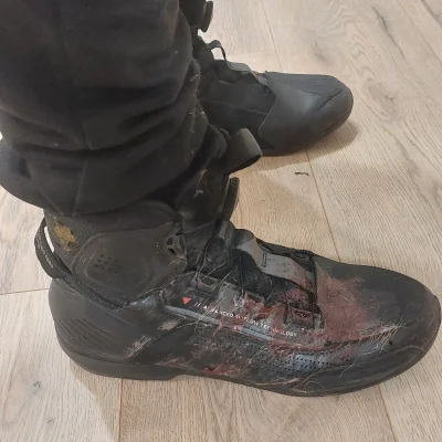 TeamRocket - Te sarny parszywe to są samobójcy a jeszcze ciebie chcą zabrać za sobą d...