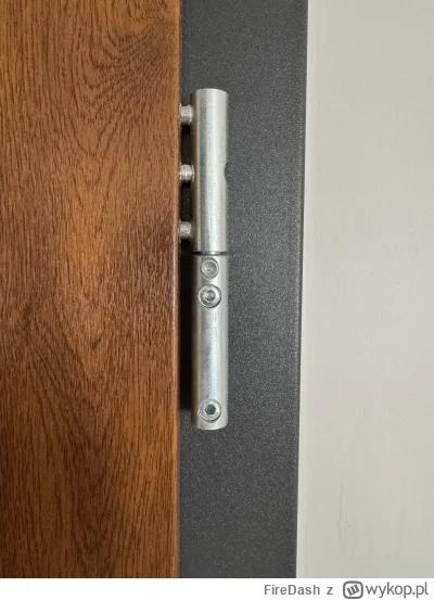 FireDash - Jak takie zawiasy naoliwić? To są drzwi wejściowe do mieszkania więc bez ś...