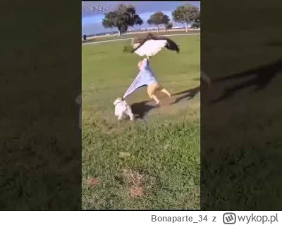 Bonaparte_34 - #sztucznainteligencja #youtube
Ktoś zorientowany w temacie mi pomoże ...