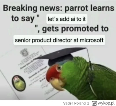 Vader-Poland - #heheszki #microsoft #ai #it