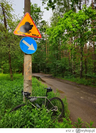x12 - 234 324 + 100 = 234 424

Teraz w ten sposób ostrzega się o dzikach? :)

#rowero...