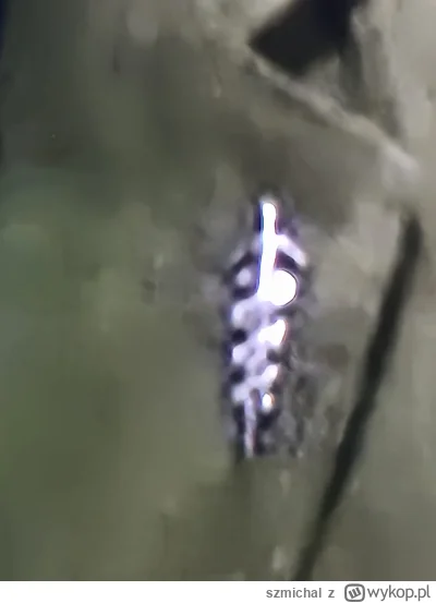 szmichal - #wybory my wiemy od kogo wy są