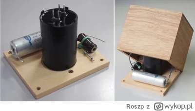 Roszp - Pamiętacie te „filtry” wpinane do terminali głośnikowych, które w środku posi...