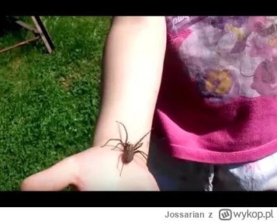 Jossarian - > Tegenaria domestica, znanego jako kątnik domowy

Mam takie w garażu. Pr...