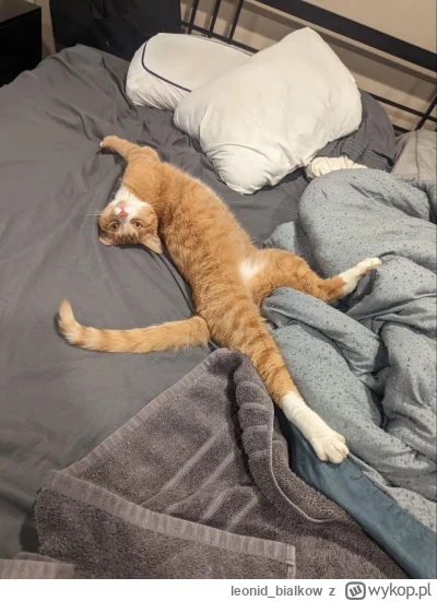 leonid_bialkow - @Graner: hejsia czasomierz