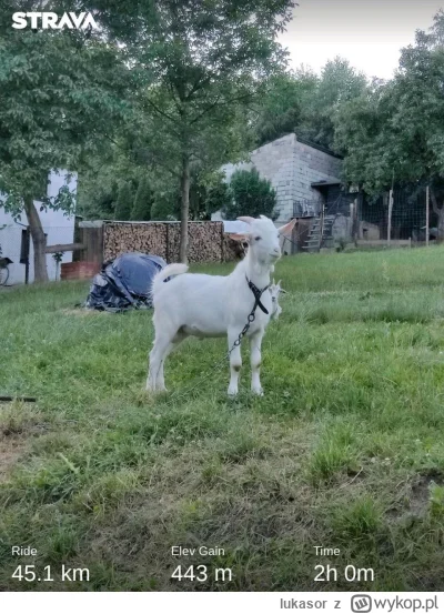 lukasor - 516 983 + 55 + 45 + 36 = 517 119

Update kwadratów

Total explorer tiles:...