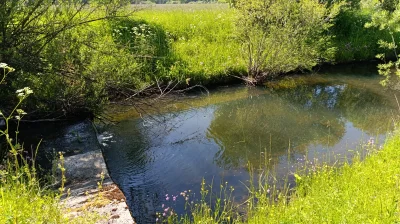 onepnch - ciekawe ile plusów dostanie taki ciek wodny