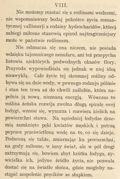 Lenalee - Autor tak mocno ubarwił opis dodając dramaturgii, że aż mi się oczy zaszkli...