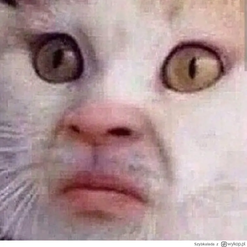 Nedifie - @Mega_Smieszek: