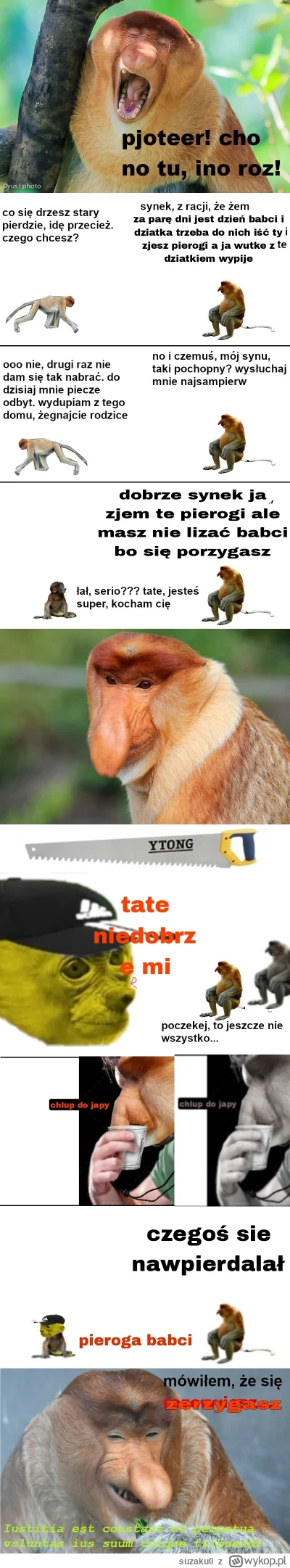 suzaku0 - #konkursnanajbardziejgownianymemznosaczem