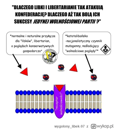 wygolony_libek-97 - #biochemia #memy #libertarianizm #konfederacja