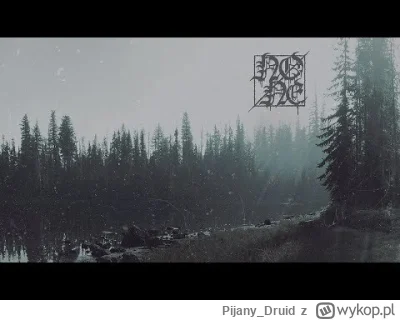 Pijany_Druid - #przegryw Muzyka na zimowe, leśne #spierdotrip (。◕‿‿◕。)