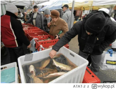 ATAT-2 - XXI wiek a Polacy wciąż tłumnie kupują 'żywego' karpia kiszącego się kilkana...